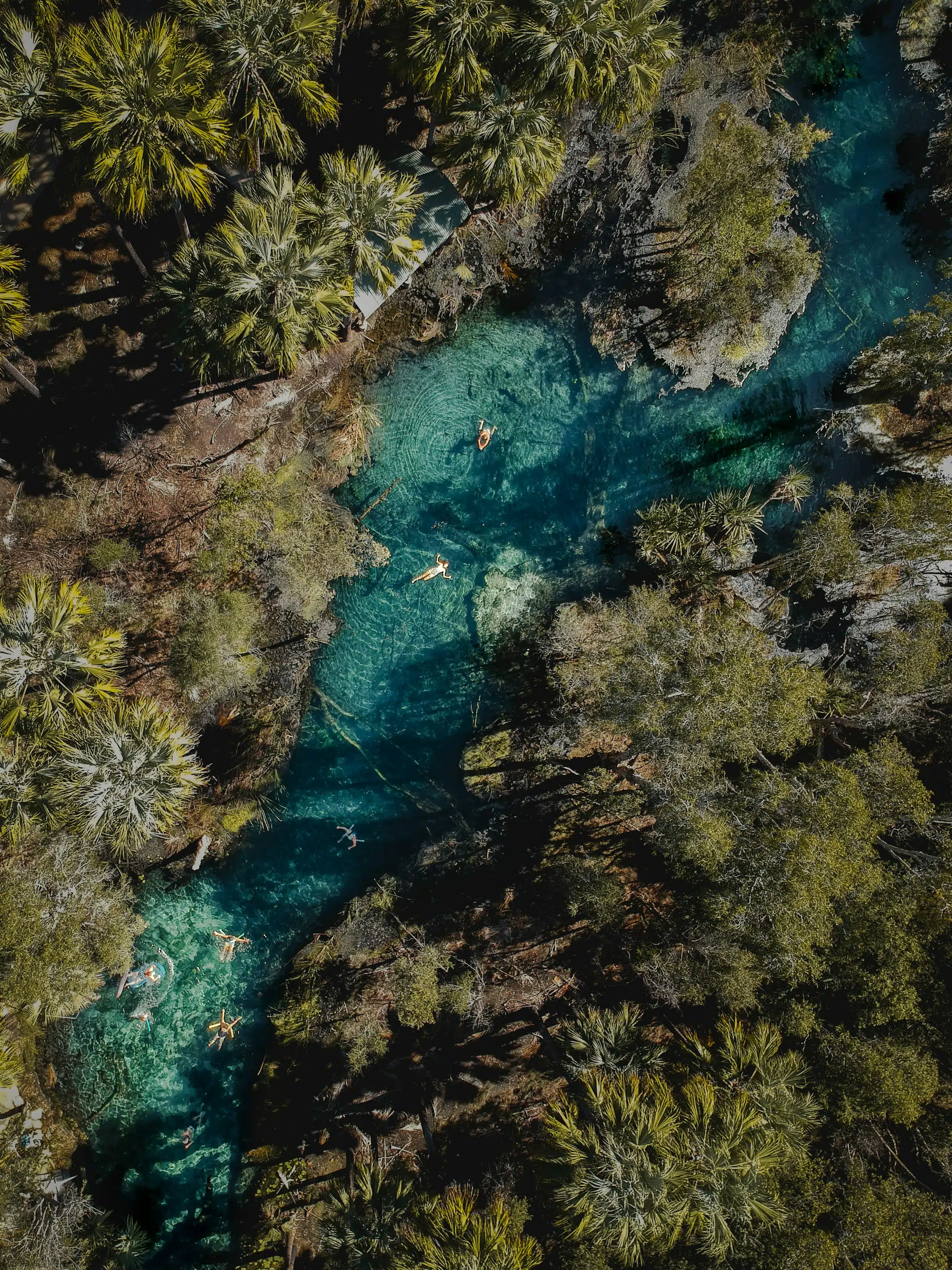 Mataranka Thermal Pool from above
