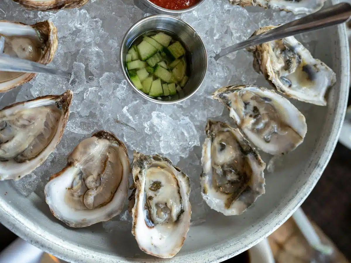 A close-up of oysters on a serving dish.