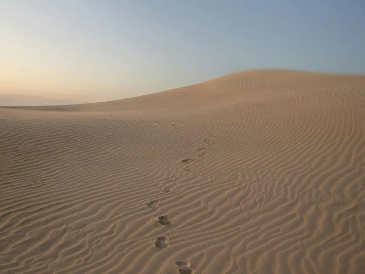 A wide view of sand dunes at Big Drift in Wilson's Promontory National Park.