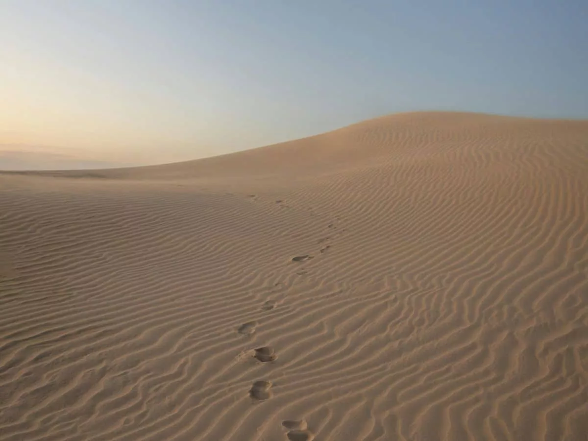 A wide view of sand dunes at Big Drift in Wilson's Promontory National Park.
