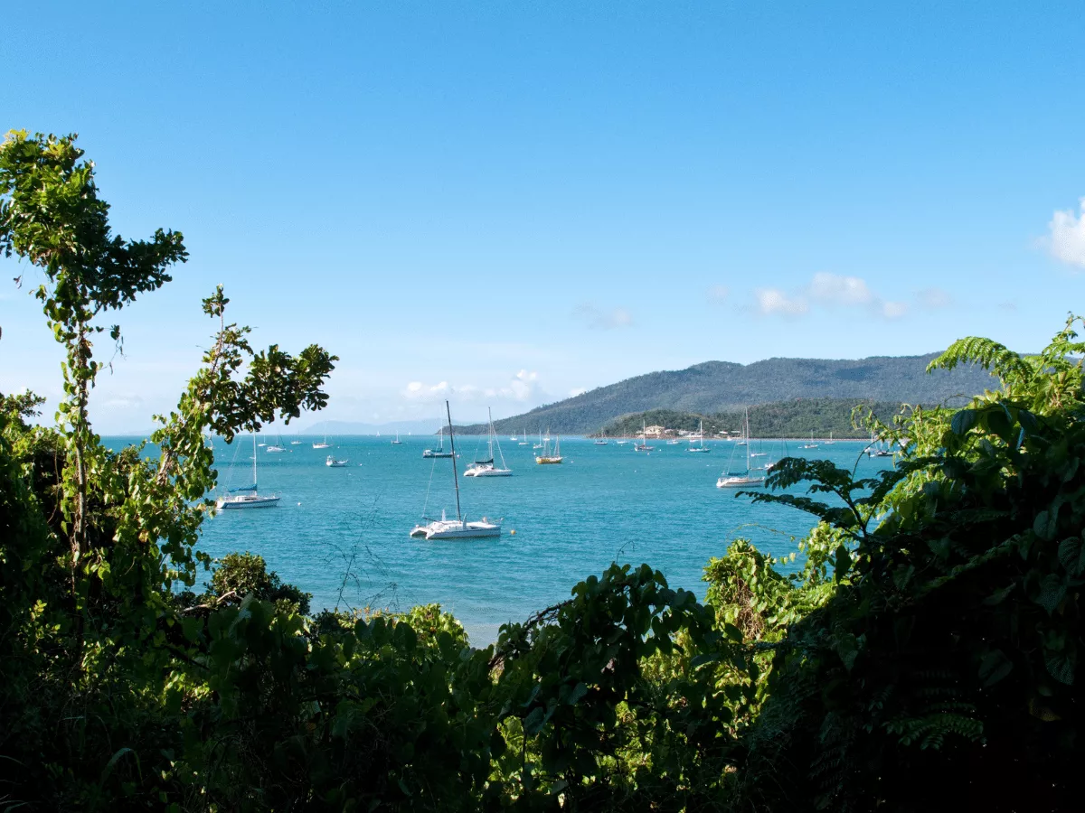 Dozens of boats at sea near the Whitsunday Islands.