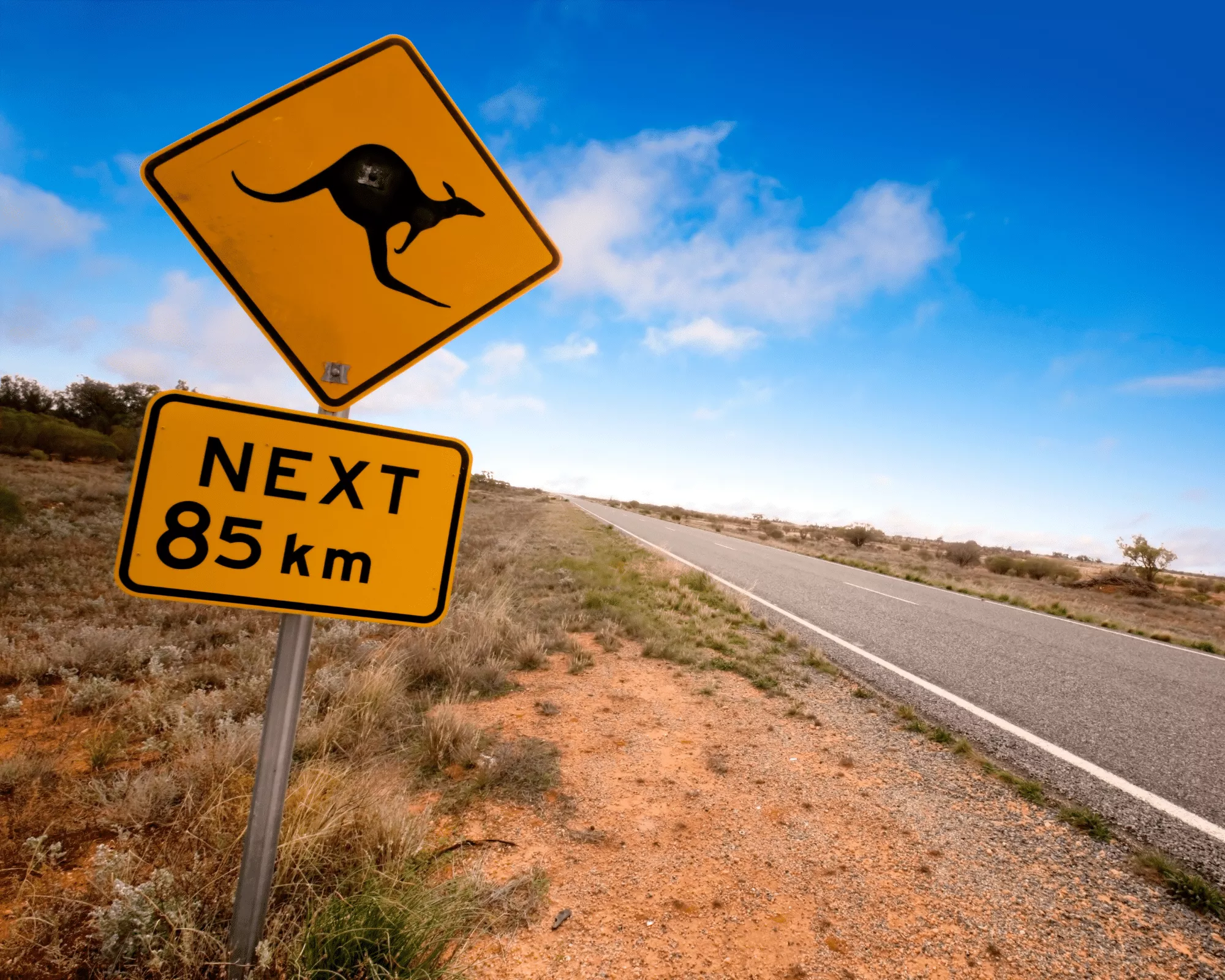 Kangaroo crossing sign warning drivers for the next 85 km_ Kangaroo-crossing-sign-warning-drivers-for-the-next-85-km
