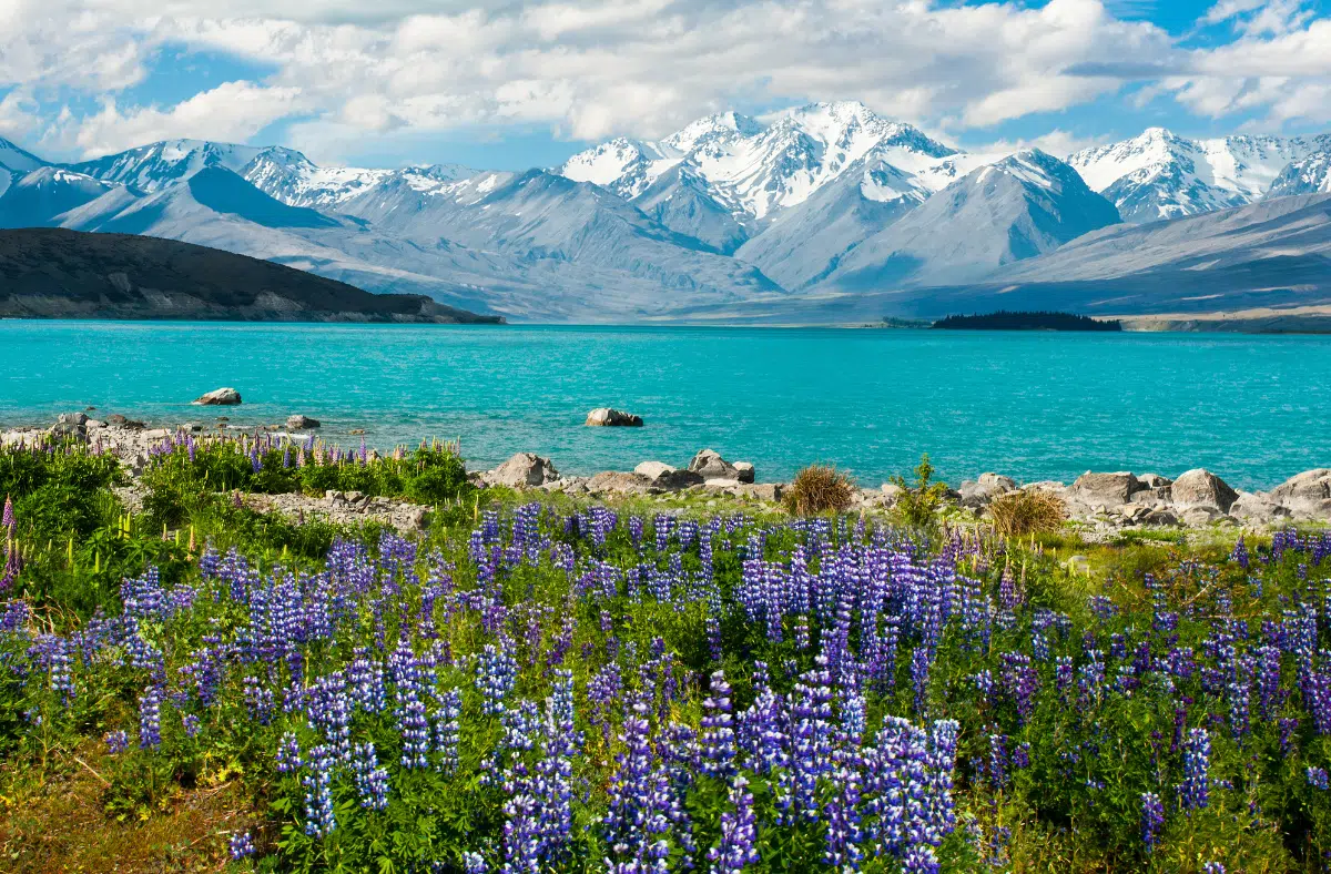 Lake Tekapo