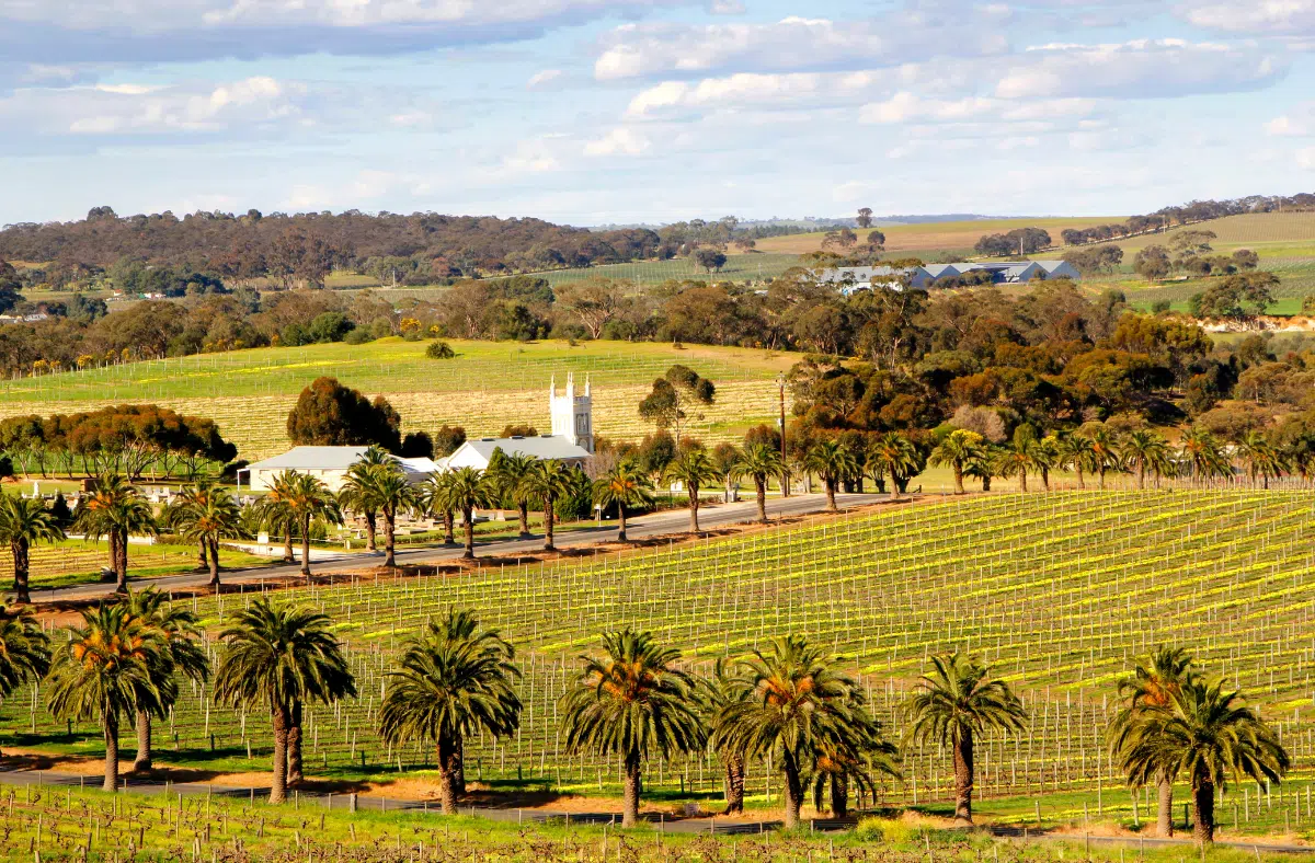 Barossa Valley Landscape