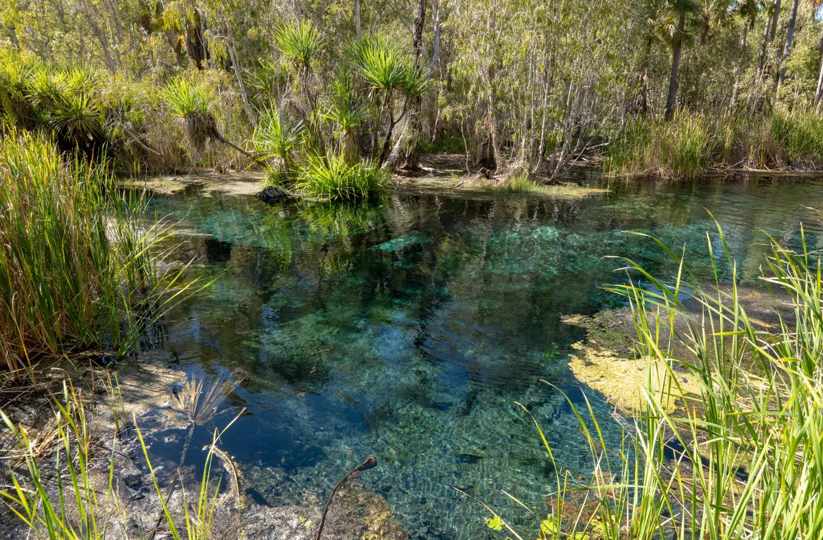 Bitter Springs, Mataranka,