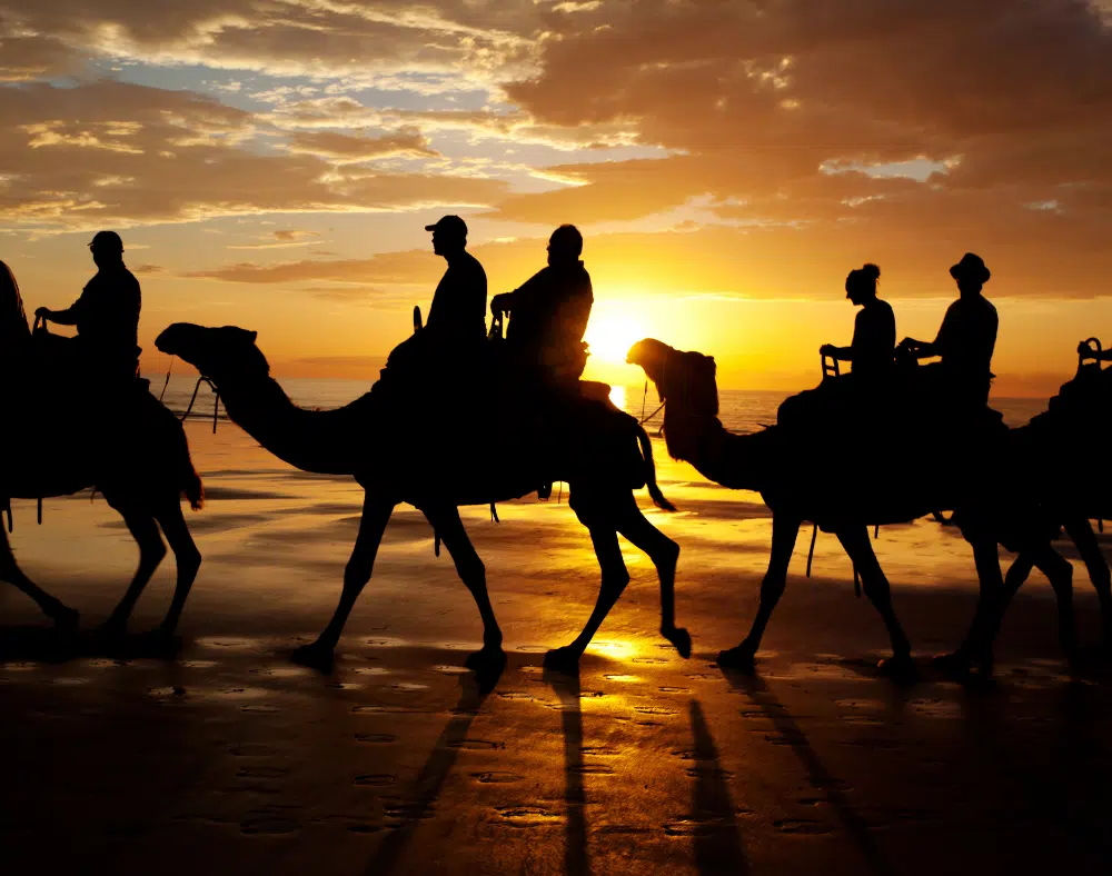 Cable beach sunset camel ride