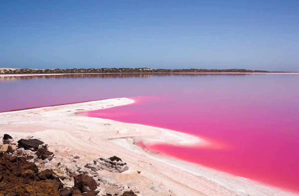 Pink Lake Hut Lagoon, Port Gregory, Western Australia, Australia
