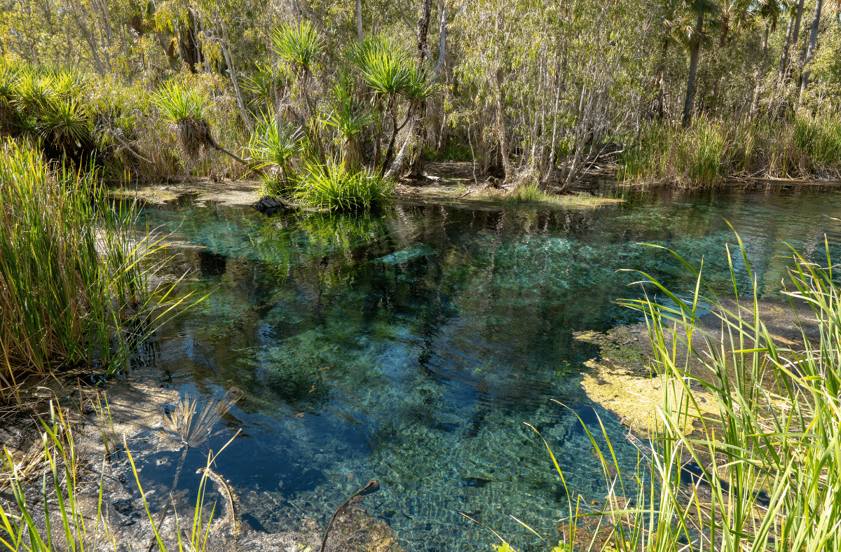 Bitter Springs, Mataranka,