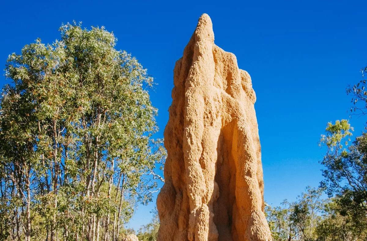 Litchfield National Park in Australia