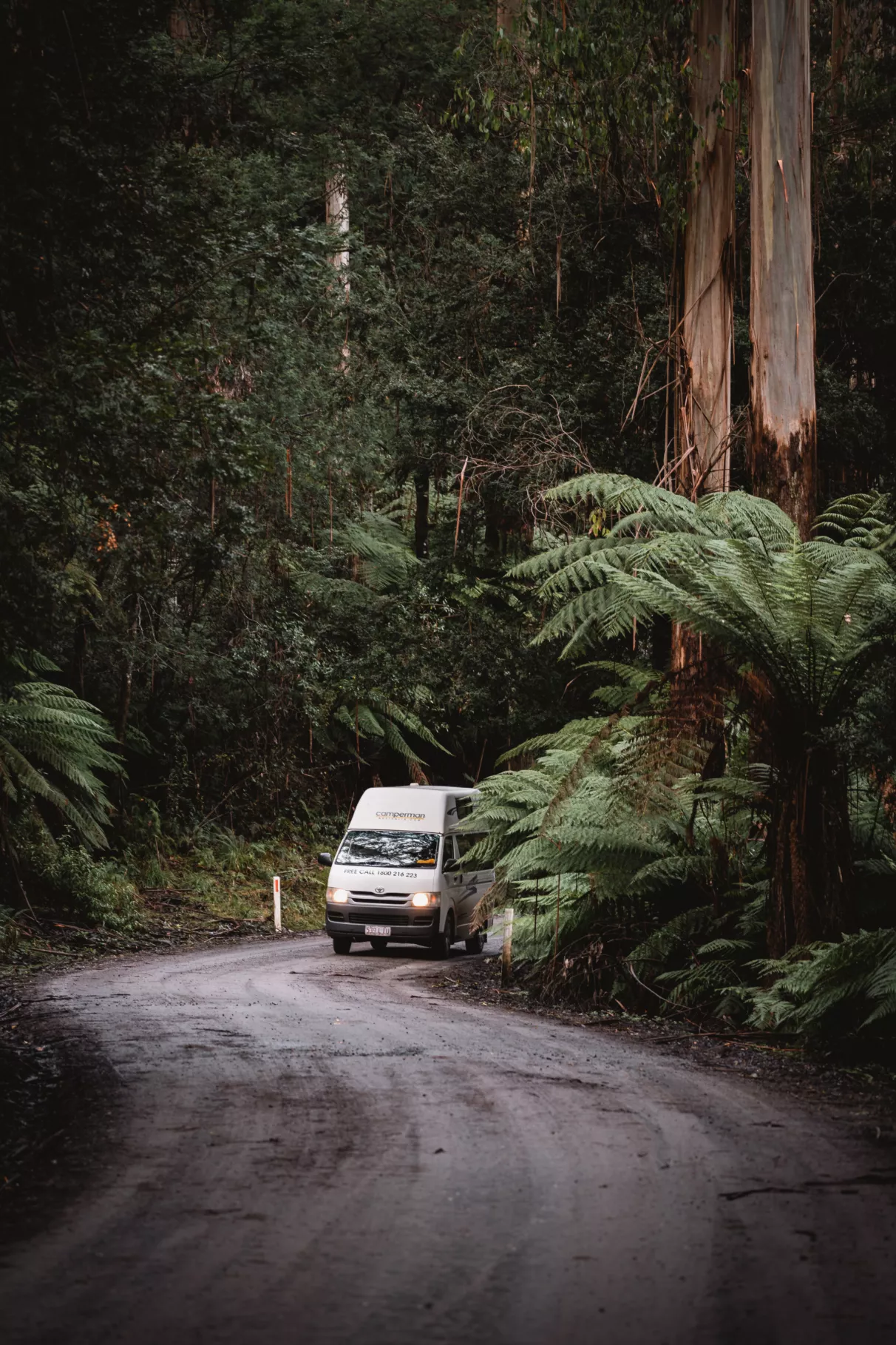 campervan on a forest road in Australia