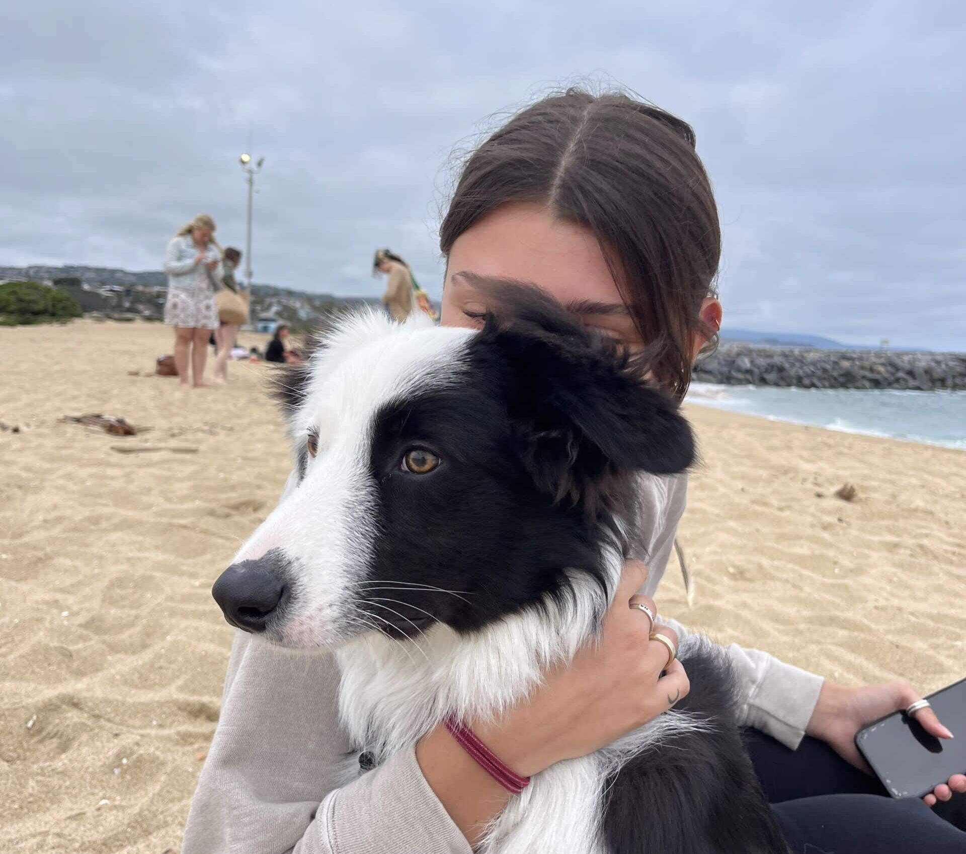 Dog on beach with Person