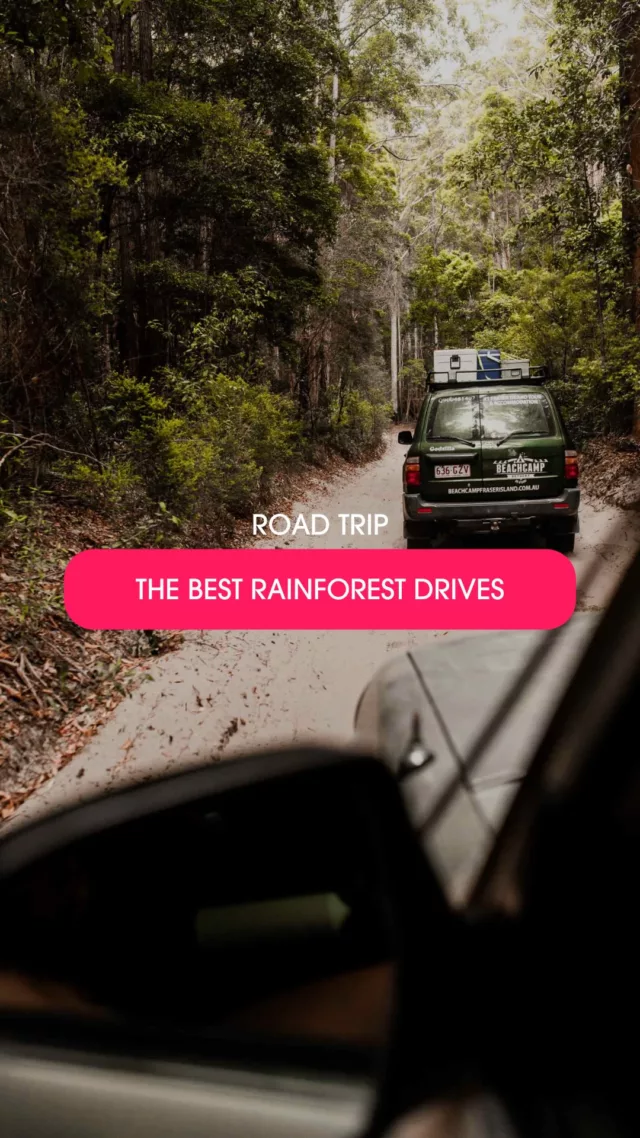 Outdoor lovers, this one’s for you 🌿🌧️🚌