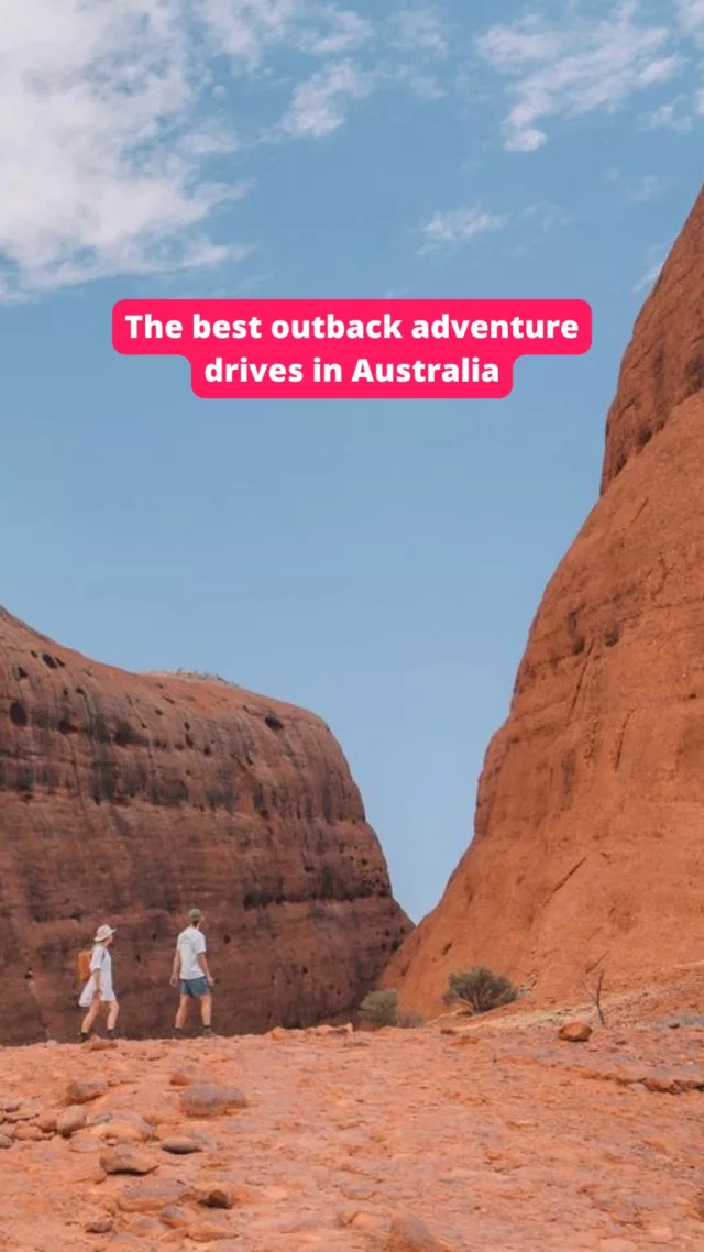 The best of the best >>> save for the ultimate roadie 🚌🚌🚌