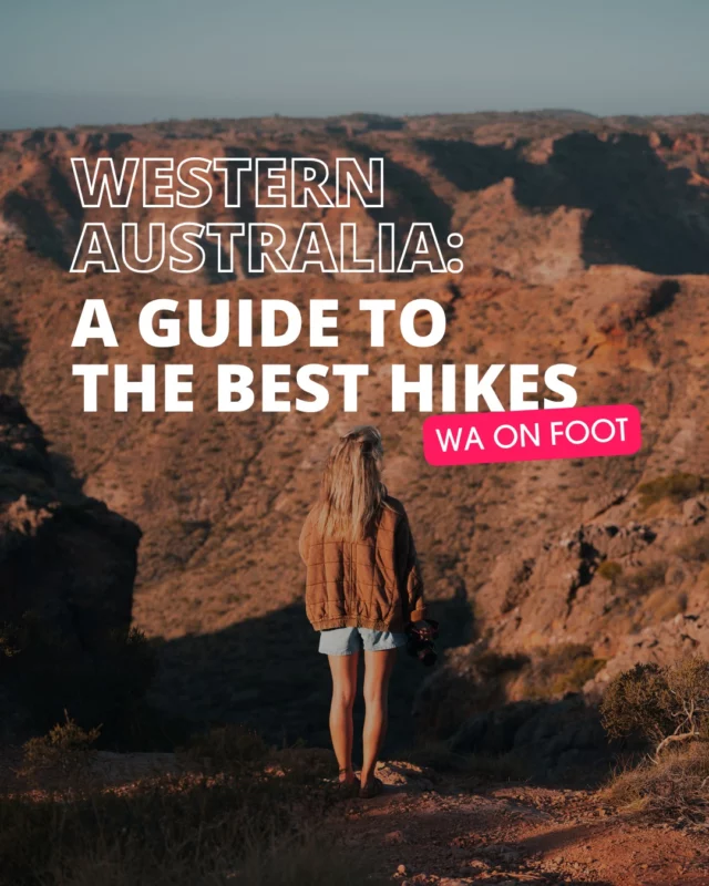 If you thought Perth was just about beach hangs and flat whites, think again.This city is seriously slept on when it comes to hiking.Discover more over on our blog: Unmissable Hiking & Walking Trails Near Perth