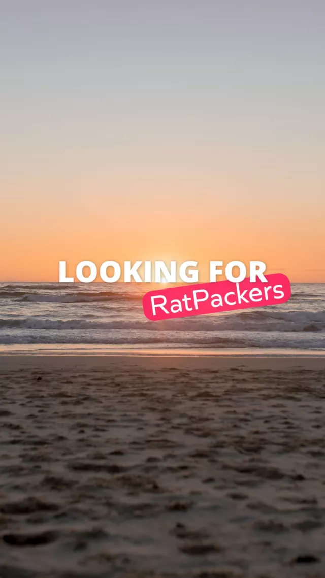 Madds and Maggs popped round to the local campsite and started chatting to whoever was around. Turns out some of them already knew exactly who we were.Good vans, good people, good stories, that's pretty much the whole job.Google RatPack Travel and see what all the fuss is about!!