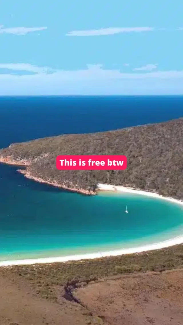 Just saying 👀👀