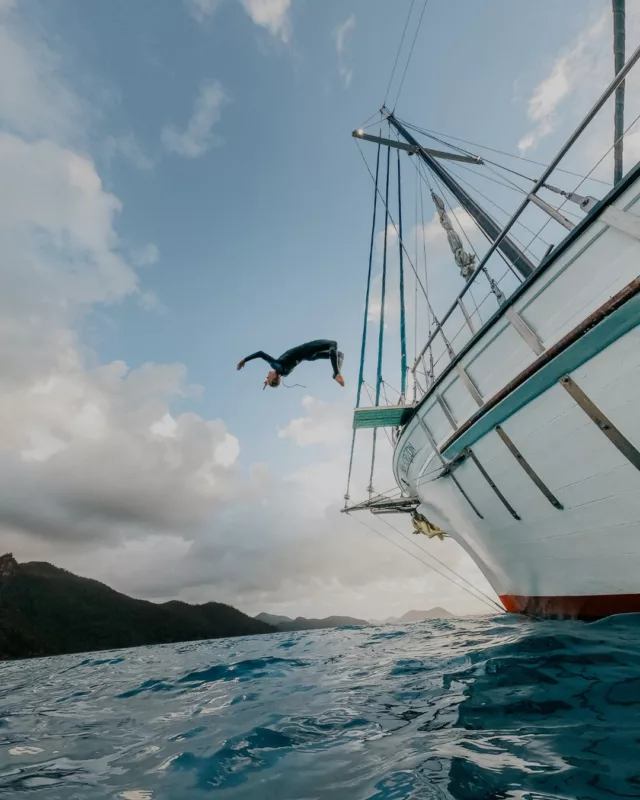 Absolute scenes yewwww 😍