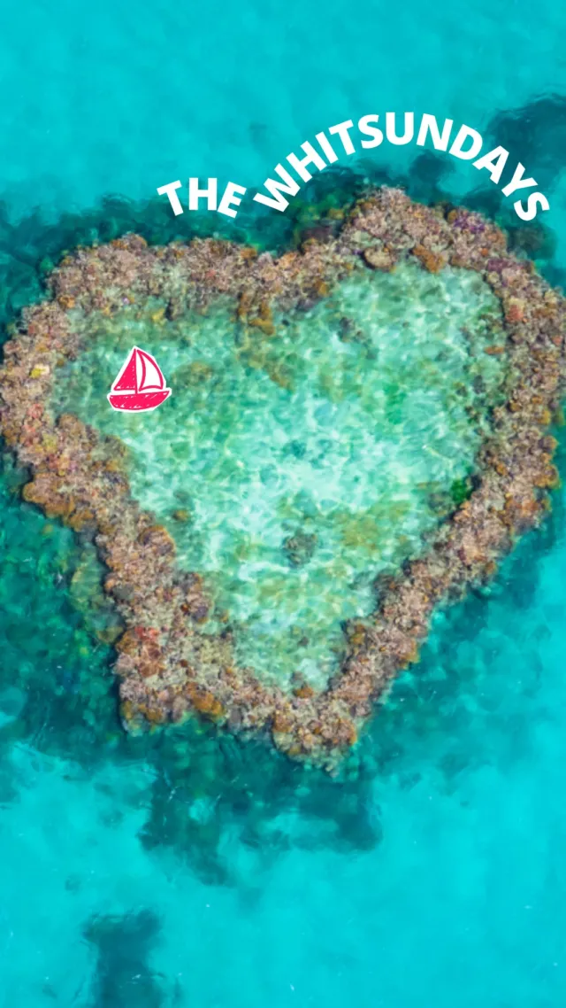 Save this for your east coast road trip.Park up in Airlie Beach and book a boat day out to Whitehaven. You won't regret it!!@tourismwhitsundays @queensland