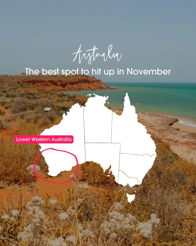 Looking for the best place to visit in Australia this November? Lower Western Australia has it all 🤙Why November? The weather is perfectly warm without the summer crowds. Ideal!