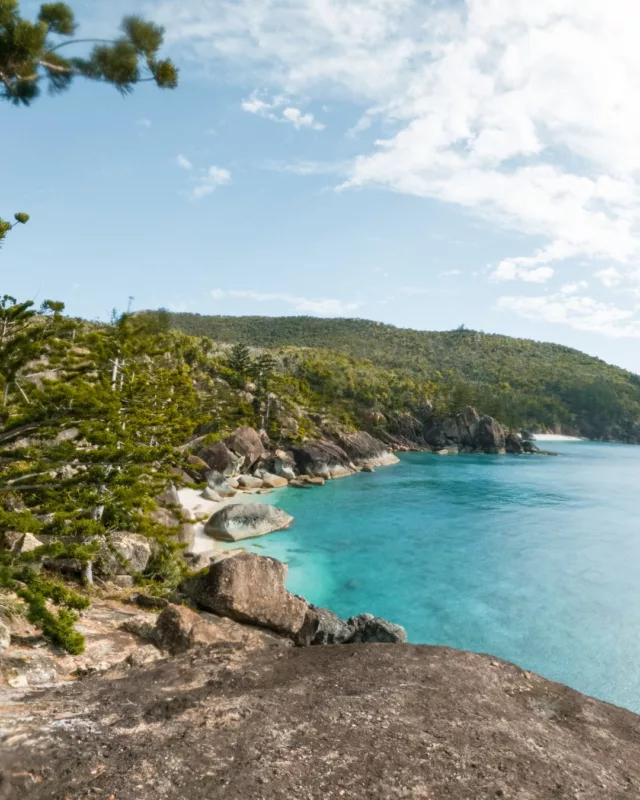 Fitzroy Island serving pure island magic 🌴Jump on a 45-minute ferry from Cairns and you’re there - easy!!!