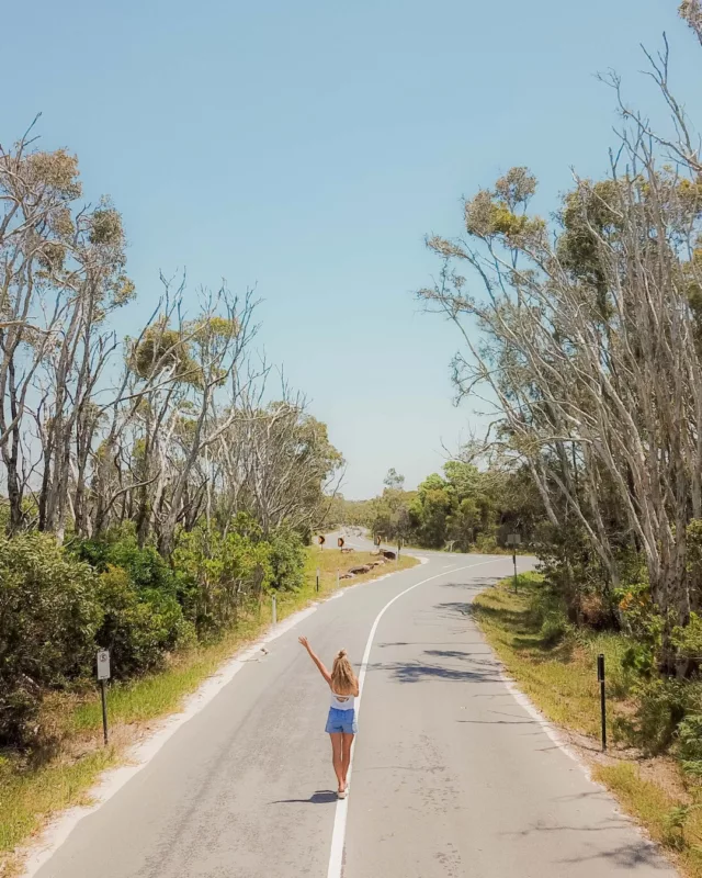 Nothing beats that first-drive feeling 🚌Let us sort your ride >>> top-rated, affordable campervans for every kind of road trip legend 🤙