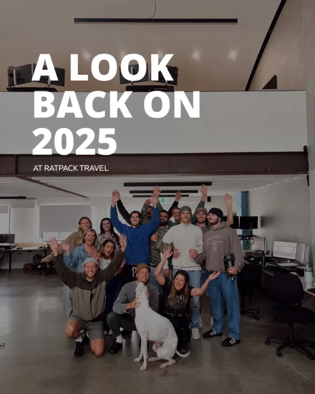 A look back on the year 🤙