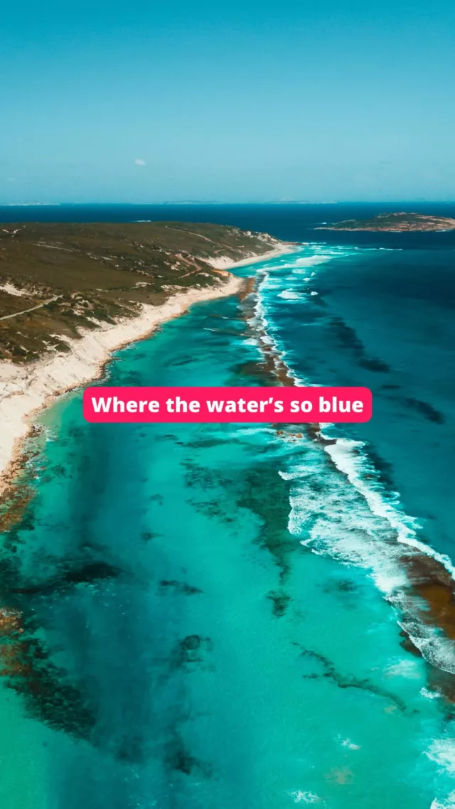 Jusssssst the absolute dream 😍