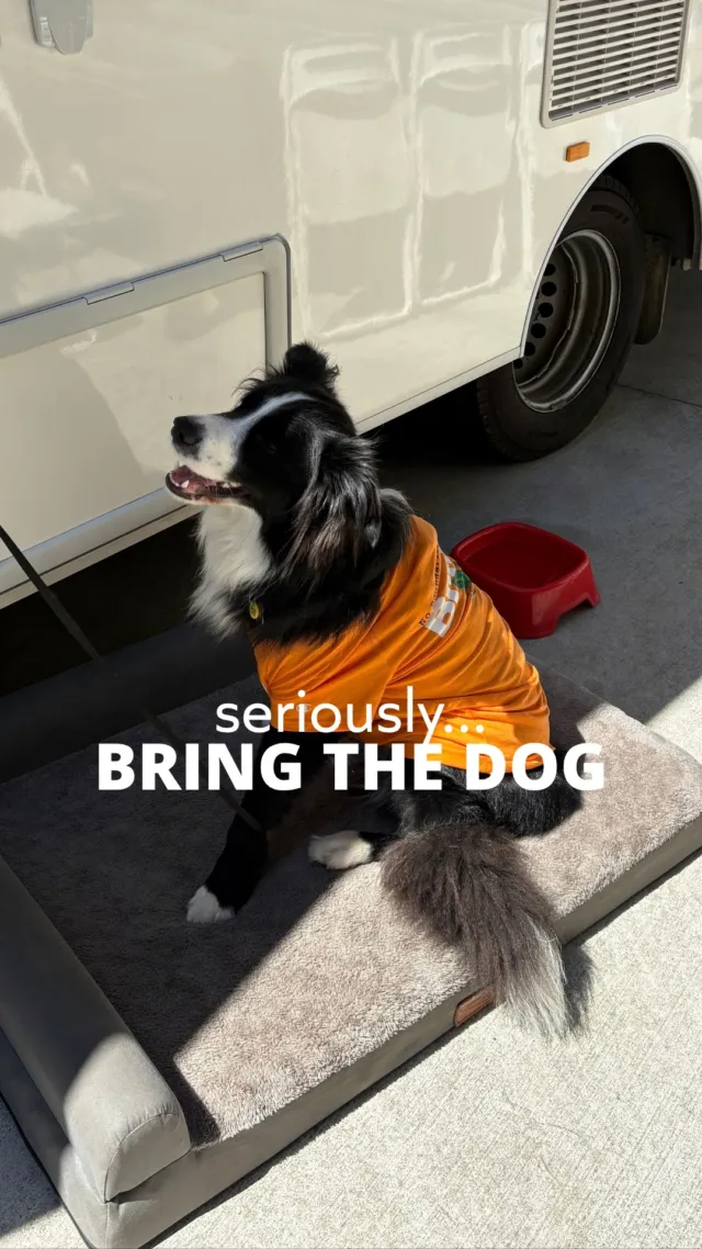 Yes, your dog can come too!!Tell us your travel dates and who's joining (paws included) and we'll sort the right camper for the WHOLE crew.