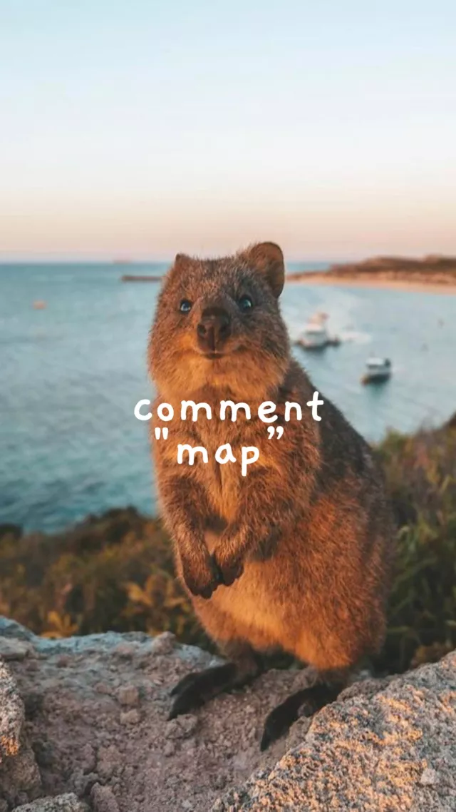 Comment "MAP" for your FREE copy