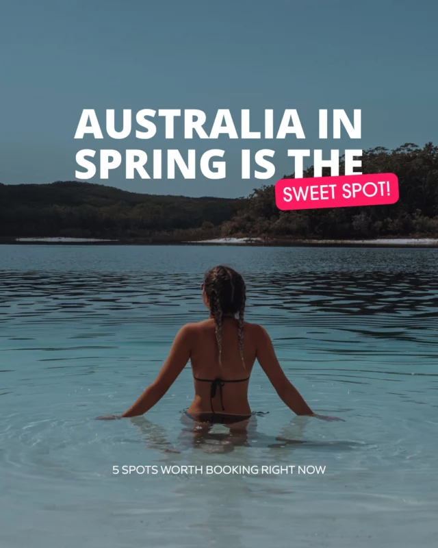 Psssst, Spring bookings move quickly, especially for September and October.Booking now means more vans at better rates, and more flexibility on pickup and drop-off cities, which can save real money.Get in touch to book and we’ll help you find the perfect campervan for you 🚌🚌🚌