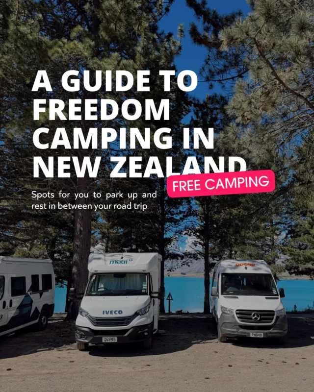Heading to NZ? You're really gonna want to save this post.For more help with planning your trip, chat to one of our travel experts 🚌