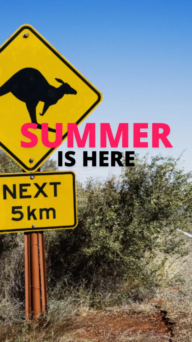 Your summer sorted, only by camper!!