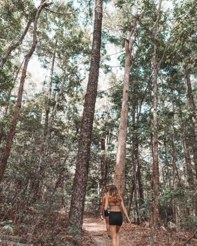 Tag your hiking partners >>> Oz is full of trails made for legends like you 🥾