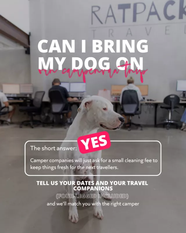 Yes, your dog can come too!!Tell us your travel dates and who's joining (paws included) and we'll sort the right camper for the WHOLE crew.
