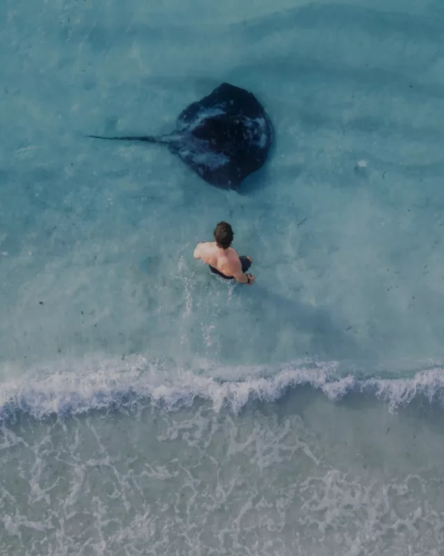 What’s on your Ozzie wildlife spot list? 👀